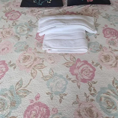 Olsza * 크라쿠프