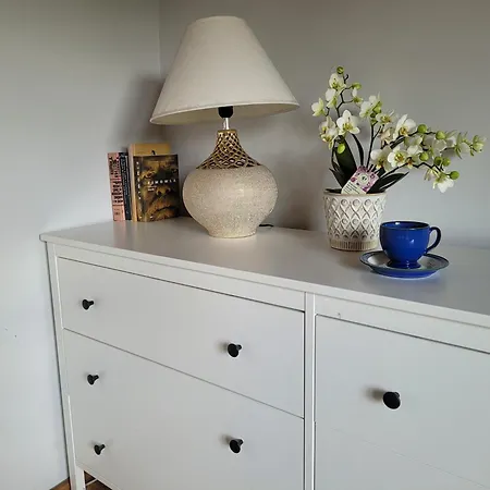 Apartment Olsza